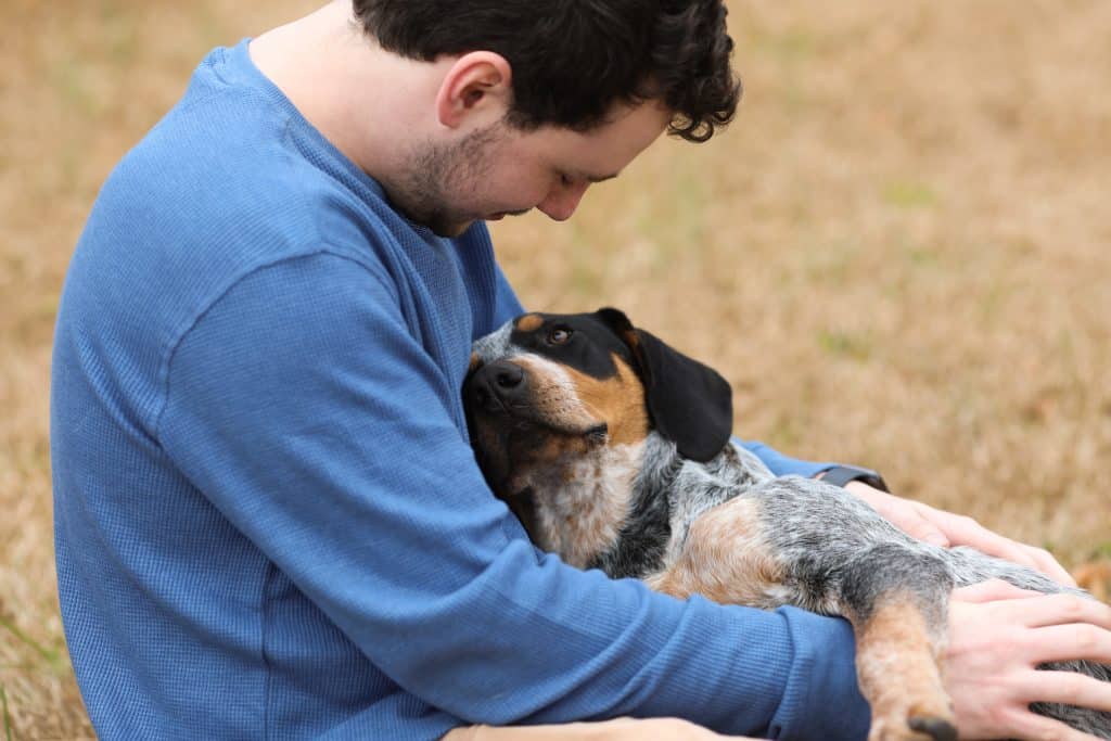 Os cães entendem seus donos - curiosidades sobre cachorros