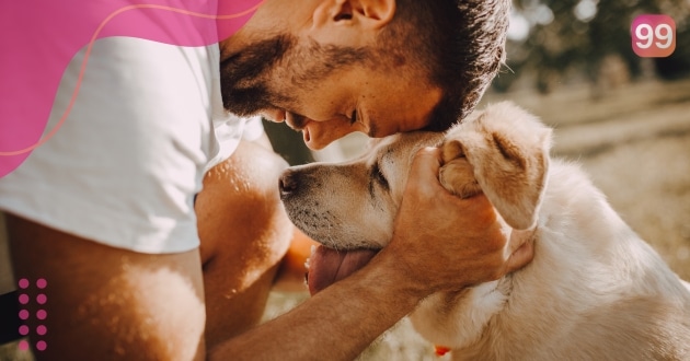 Como Adotar Cachorro De Raça